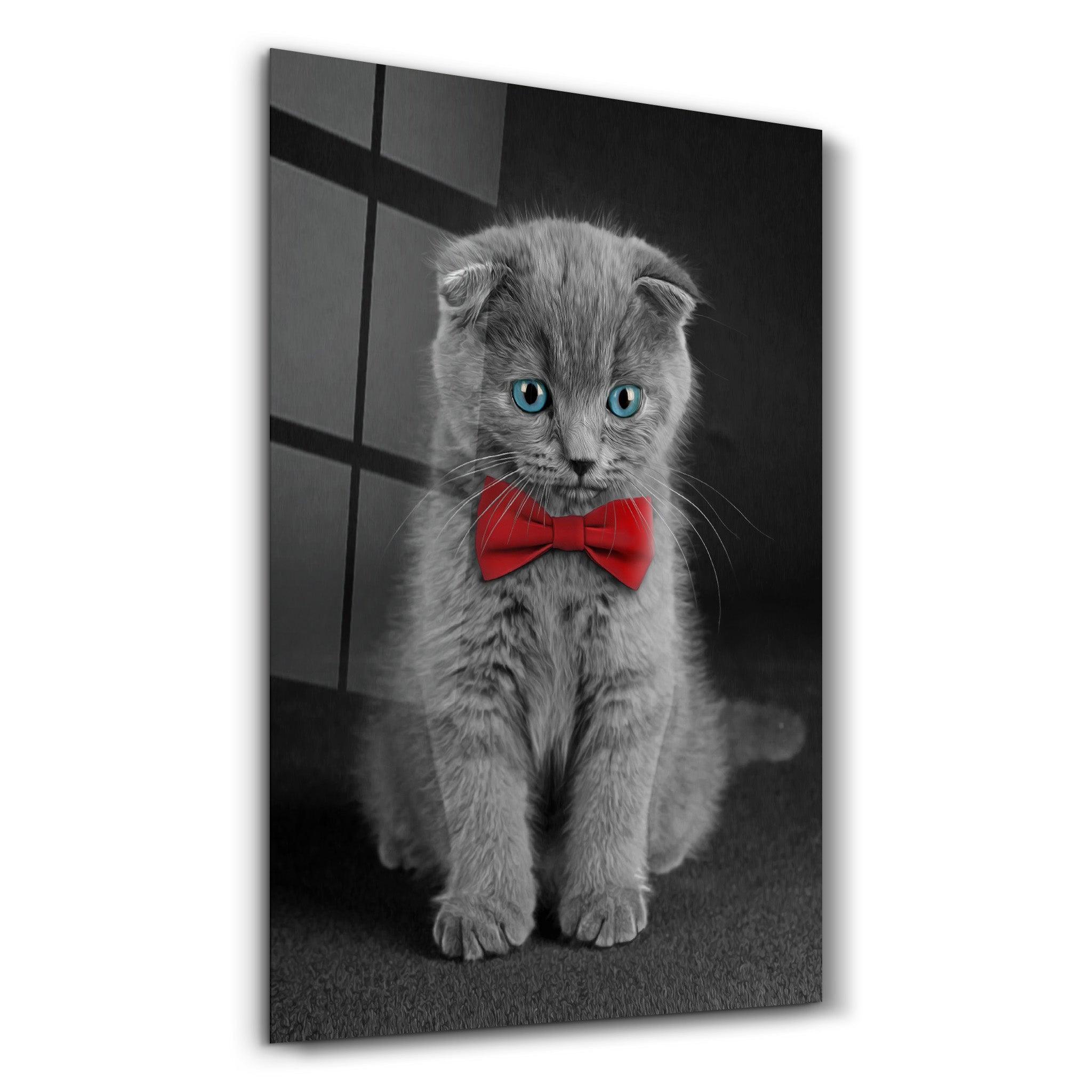 Cat with Bow Tie | Glass Wall Art - Artdesigna