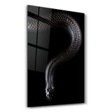 The black Mamba | Glass Wall Art