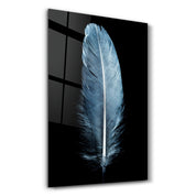 Blue Feather | Glass Wall Art - Artdesigna