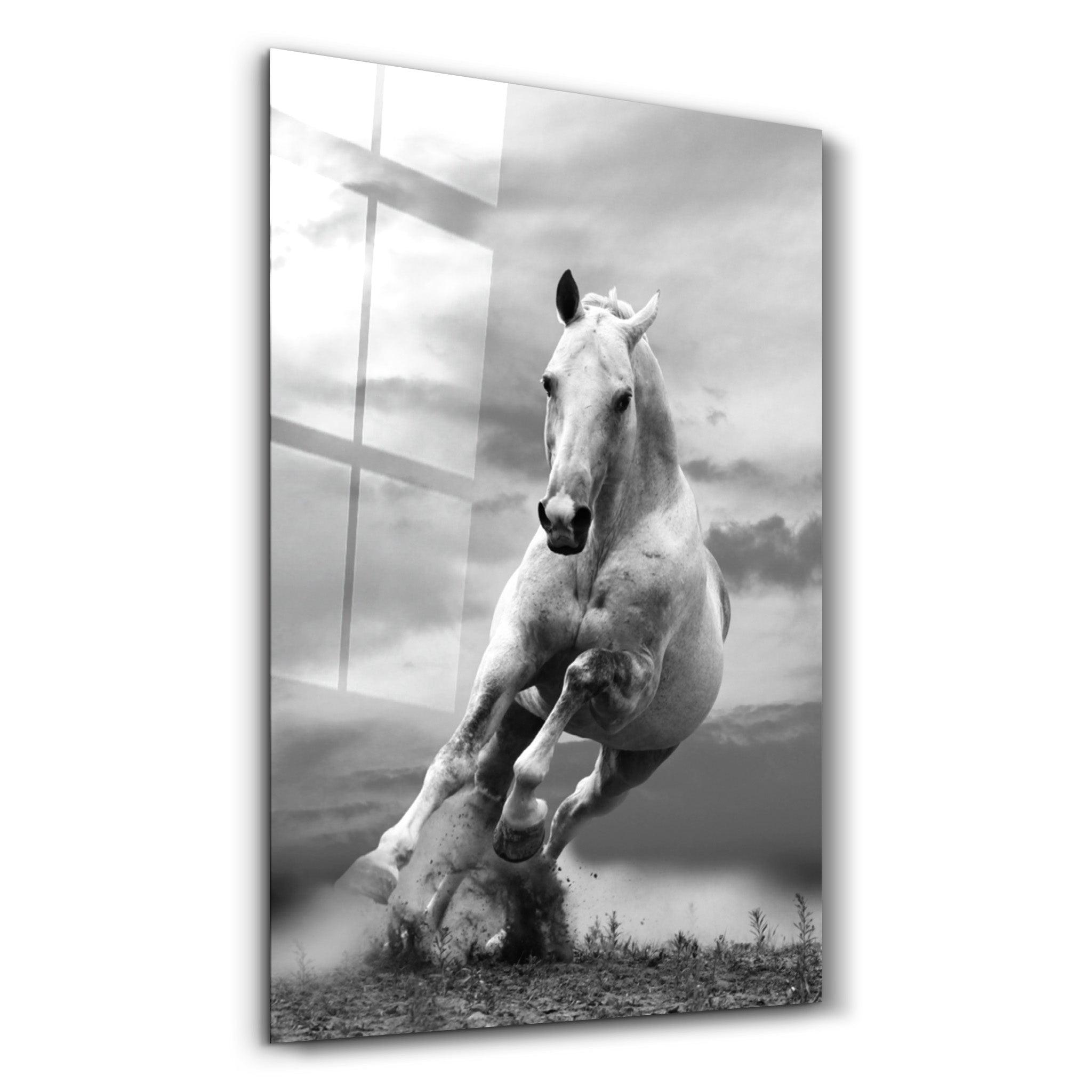 Running Horse | Glass Wall Art - Artdesigna