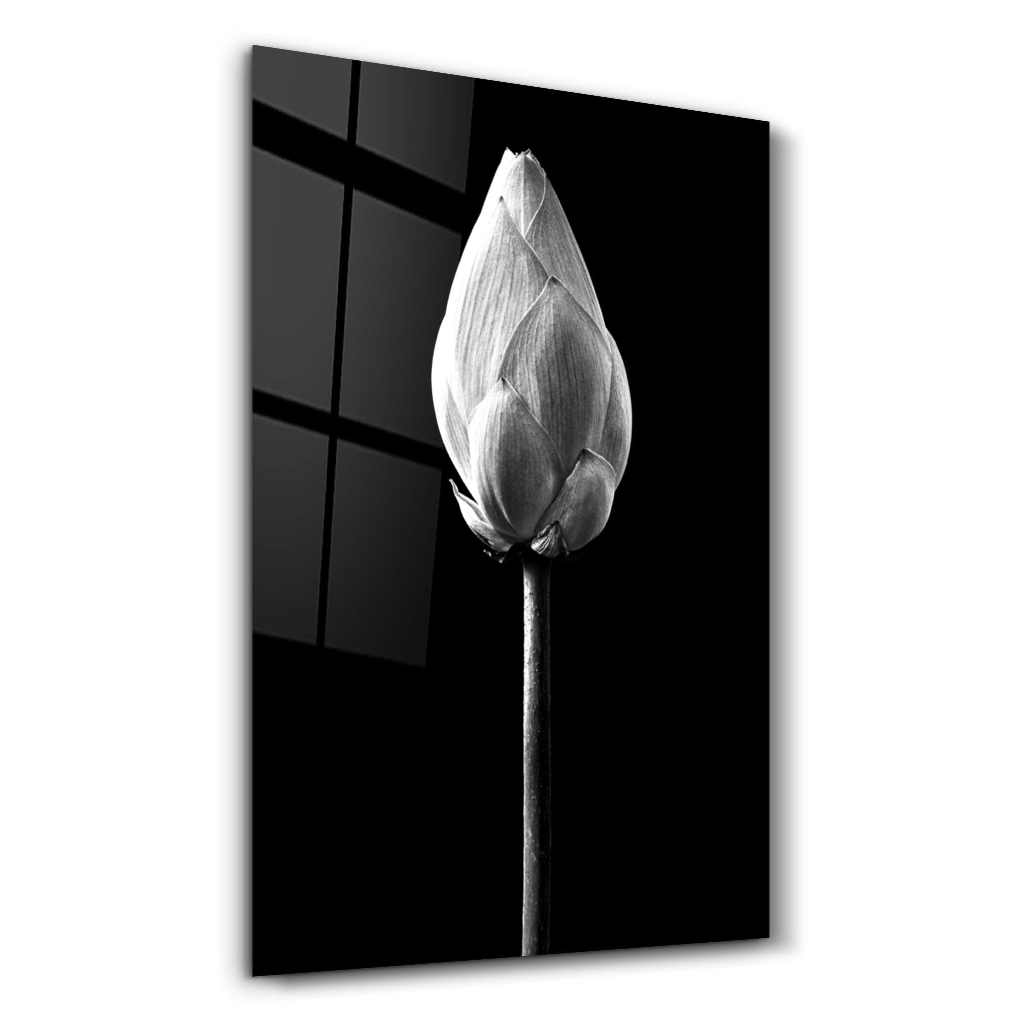 Silent Awakening | Glass Wall Art - Artdesigna