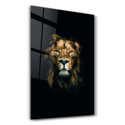 Wild Lion | Glass Wall Art - Artdesigna