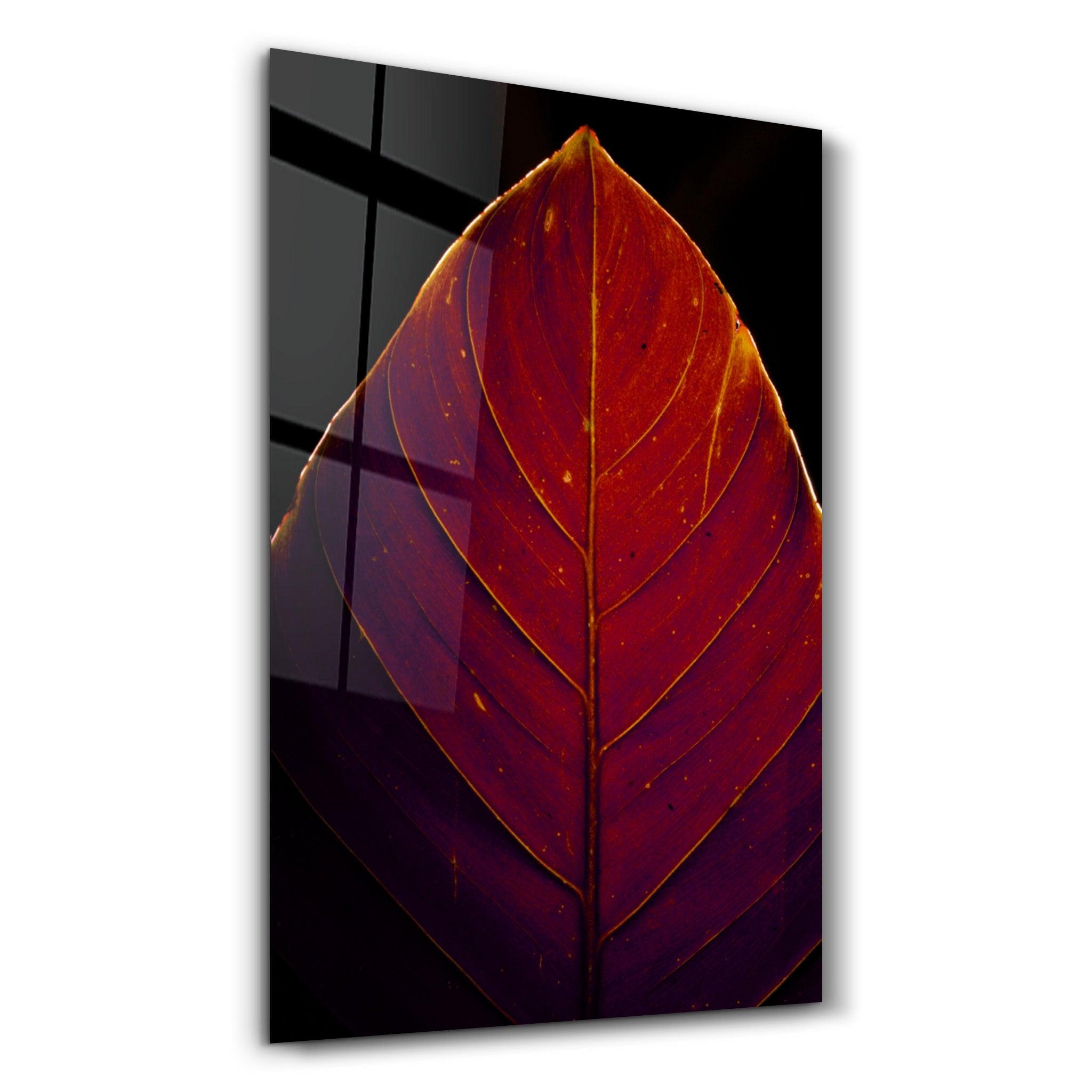 Leaf v2 | Glass Wall Art - Artdesigna