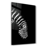 Young Zebra | Glass Wall Art