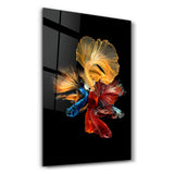 Betta Fish V2 | Glass Wall Art
