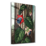 Robert John Thornton The Winged Passion Flower 1799 | Glass Wall Art