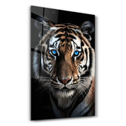 Blue Eyes - Tiger | Designers Collection Glass Wall Art - Artdesigna