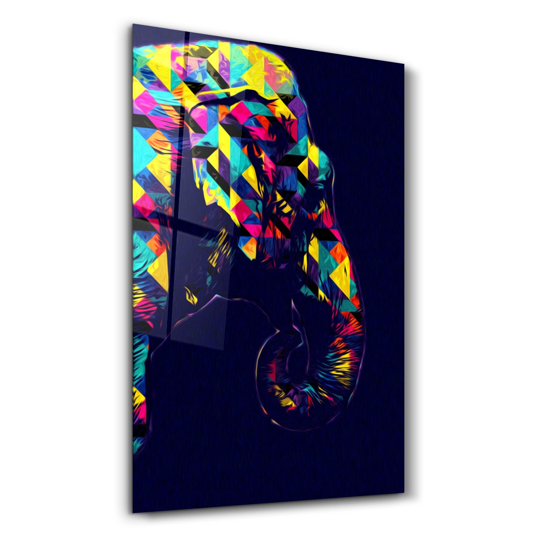 Colormix Elephant Portrait | Glass Wall Art - Artdesigna