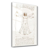 Leonardo da Vinci's The Vitruvian Man 1498 | Glass Wall Art