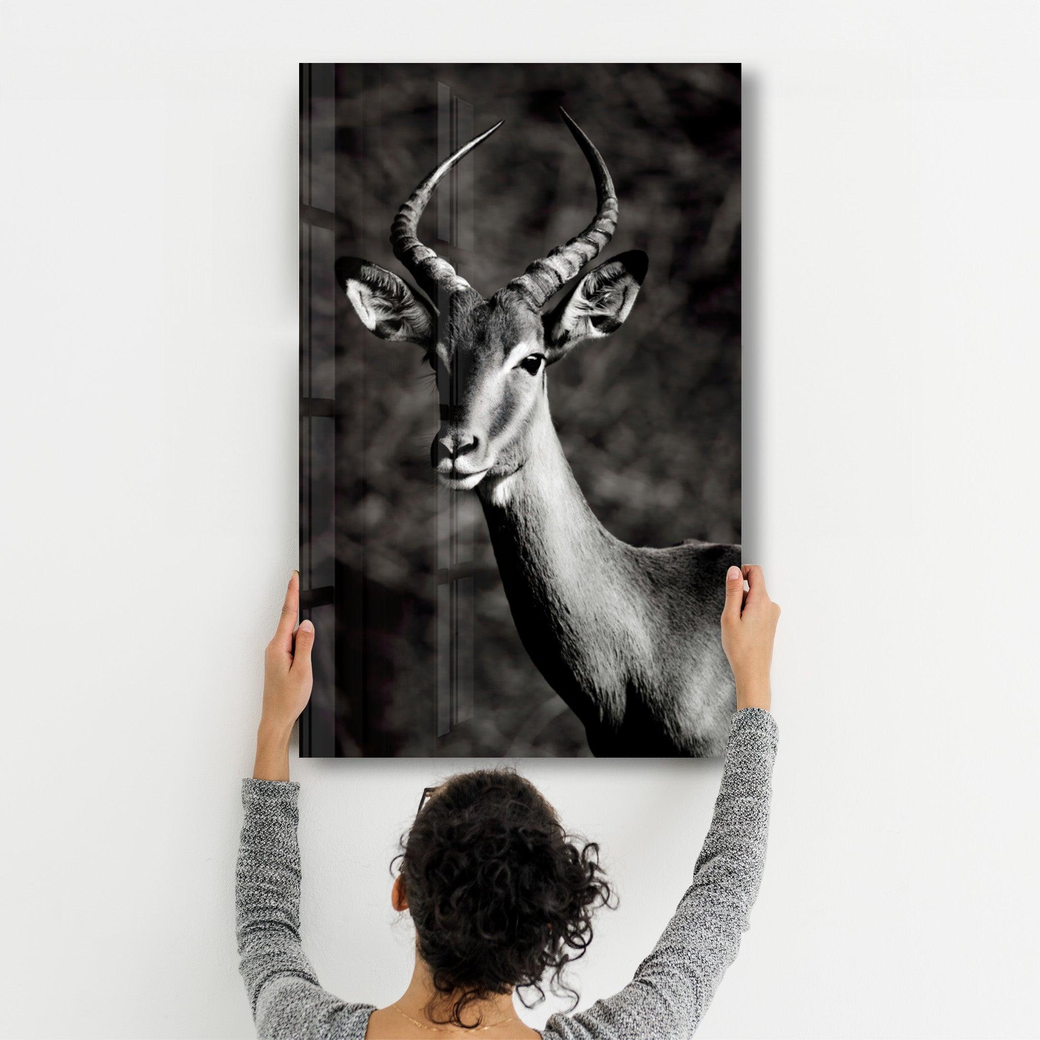 Antilope Black and White | Glass Wall Art - Artdesigna