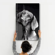 Innocent Dog | Glass Wall Art - Artdesigna