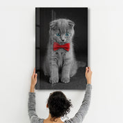 Cat with Bow Tie | Glass Wall Art - Artdesigna