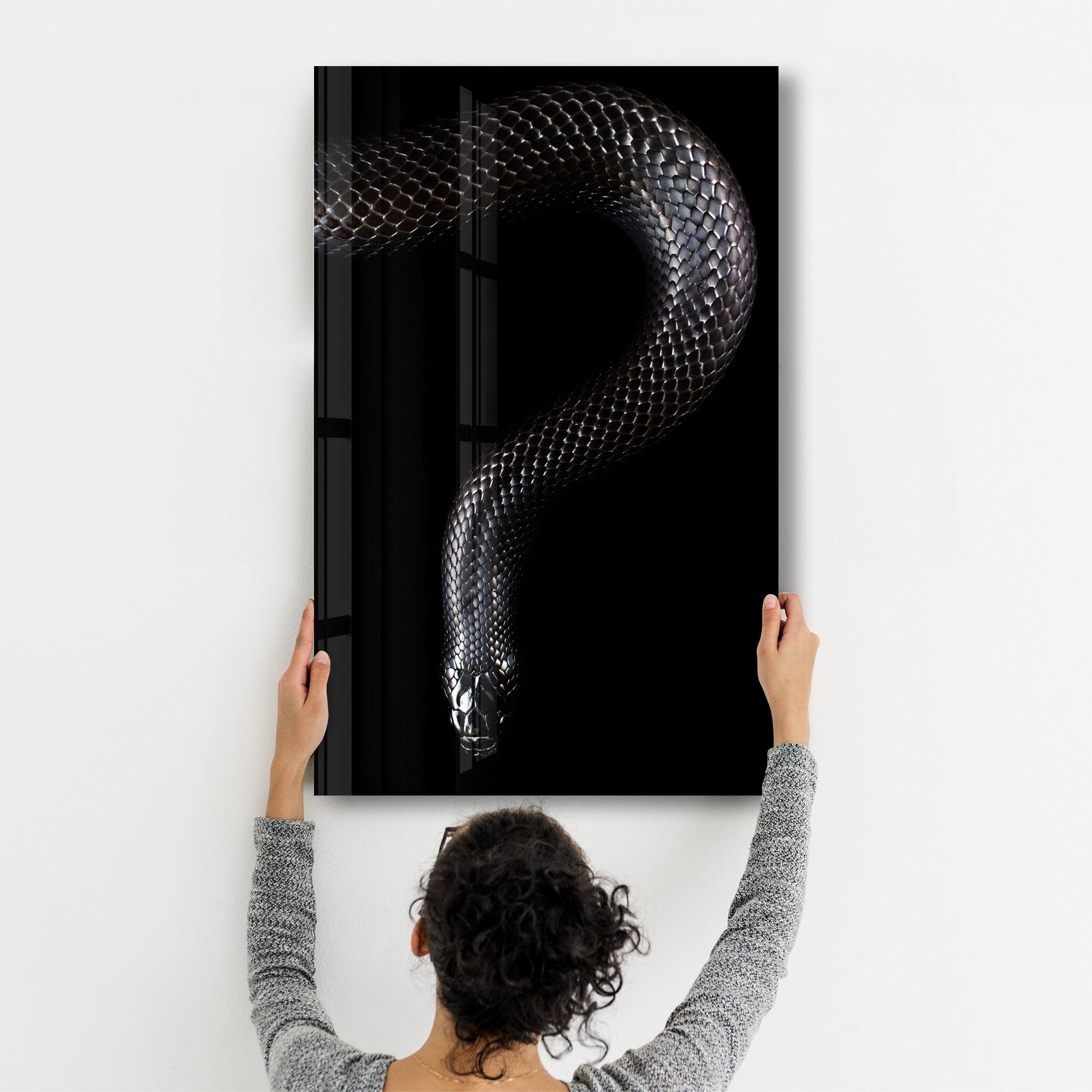 The black Mamba | Glass Wall Art - Artdesigna