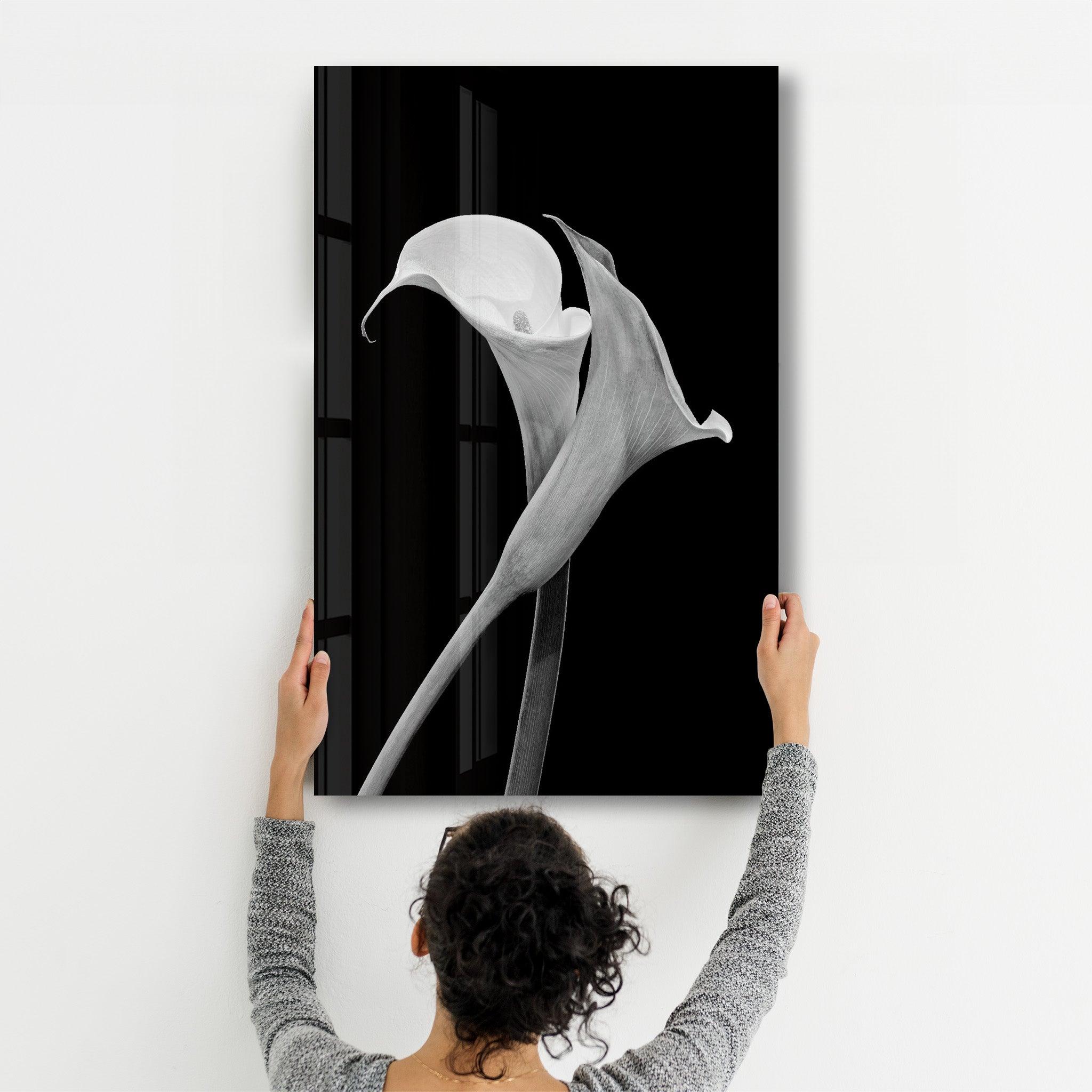 Arum Lily | Glass Wall Art - Artdesigna