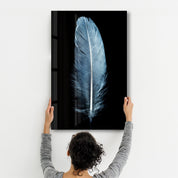 Blue Feather | Glass Wall Art - Artdesigna