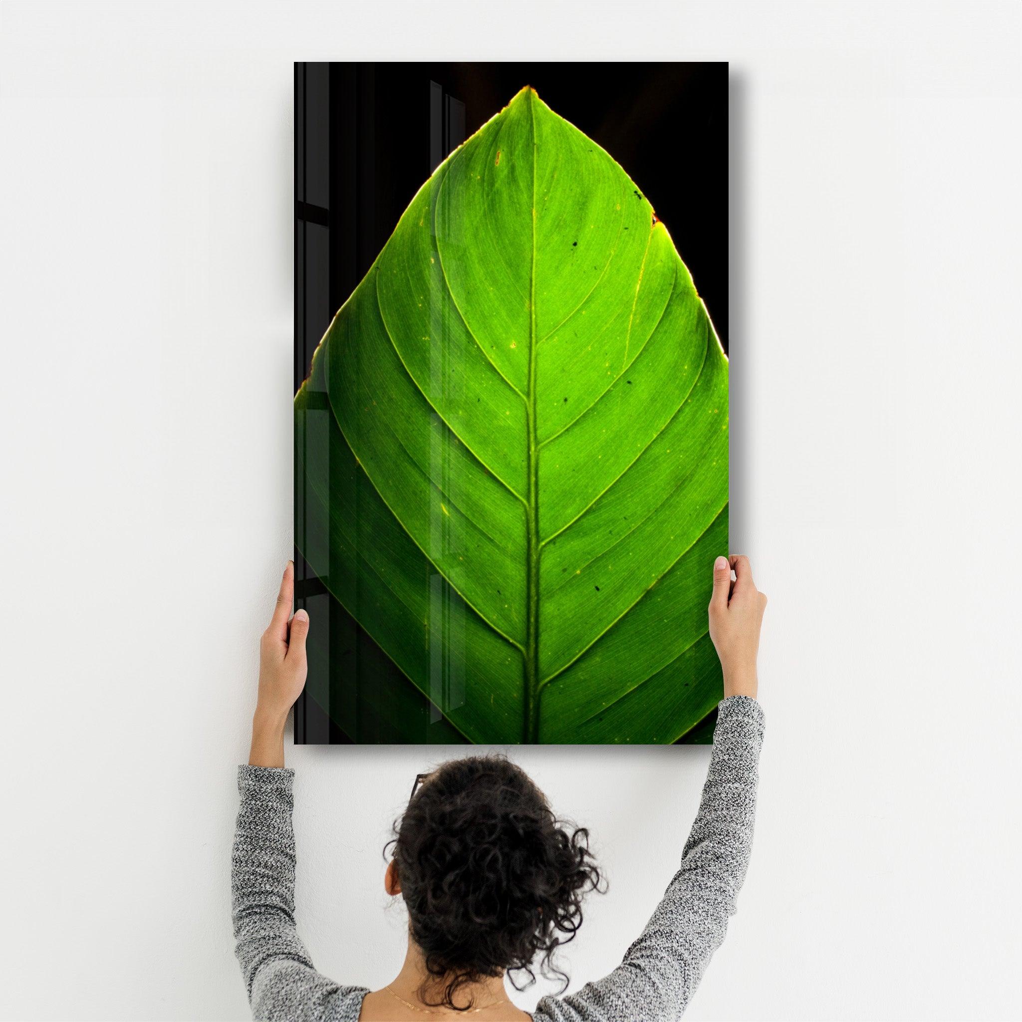 Green Leaf 1 | Glass Wall Art - Artdesigna