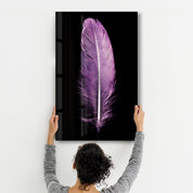 Colorful Feather V3 | Glass Wall Art - Artdesigna