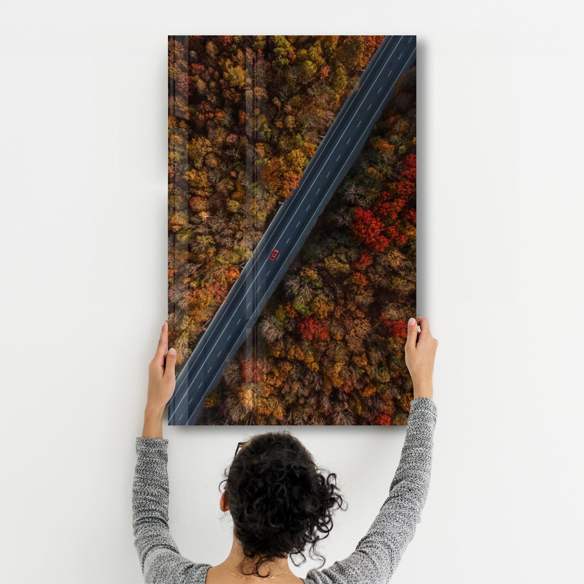 Alone in the Road | Glass Wall Art - Artdesigna