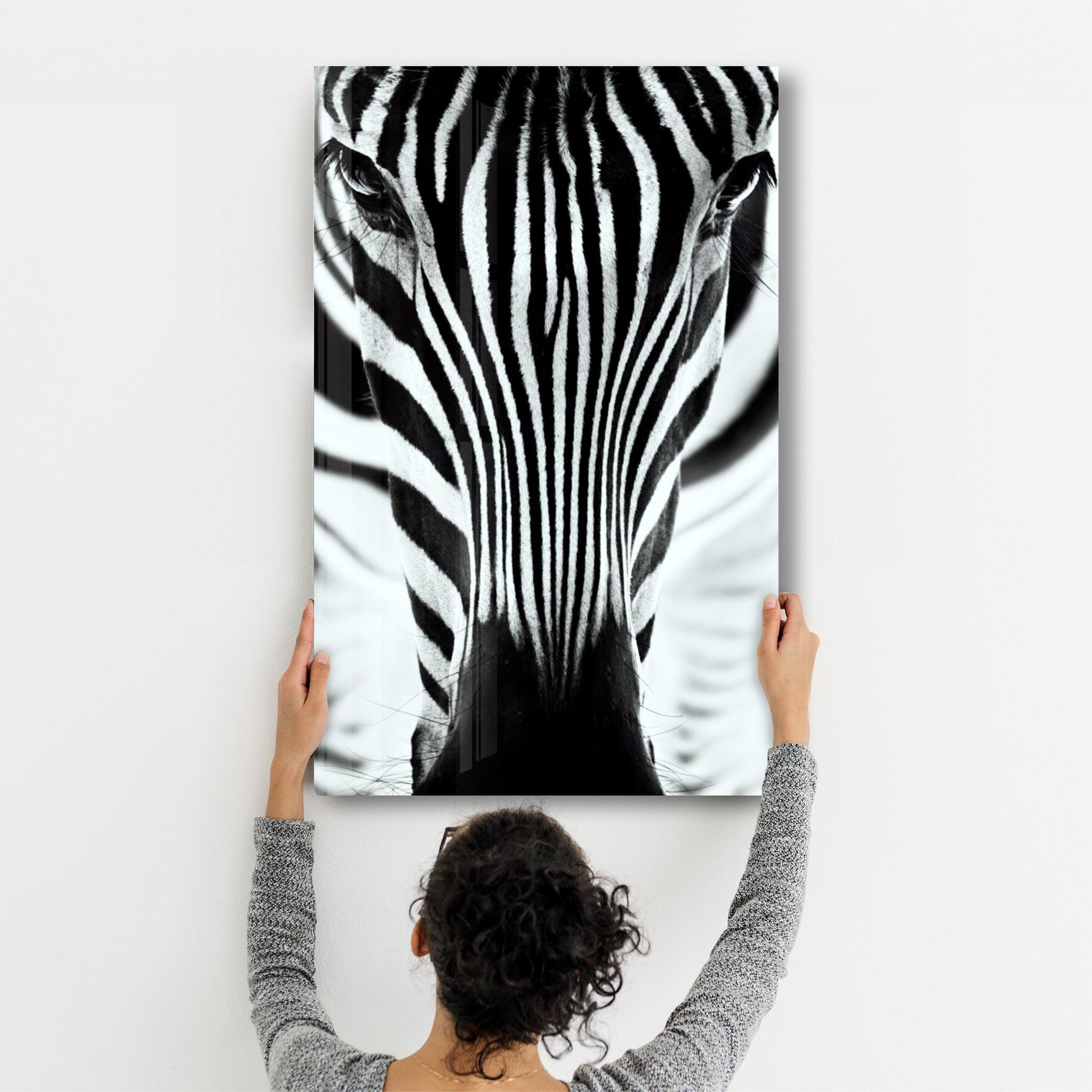 Zebra V2 | Glass Wall Art - Artdesigna