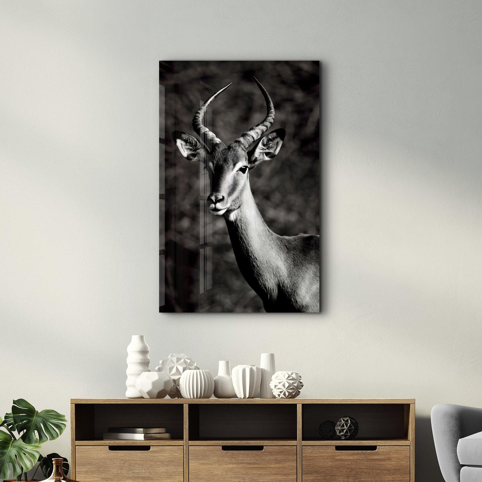 Antilope Black and White | Glass Wall Art - Artdesigna