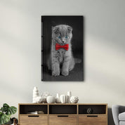 Cat with Bow Tie | Glass Wall Art - Artdesigna