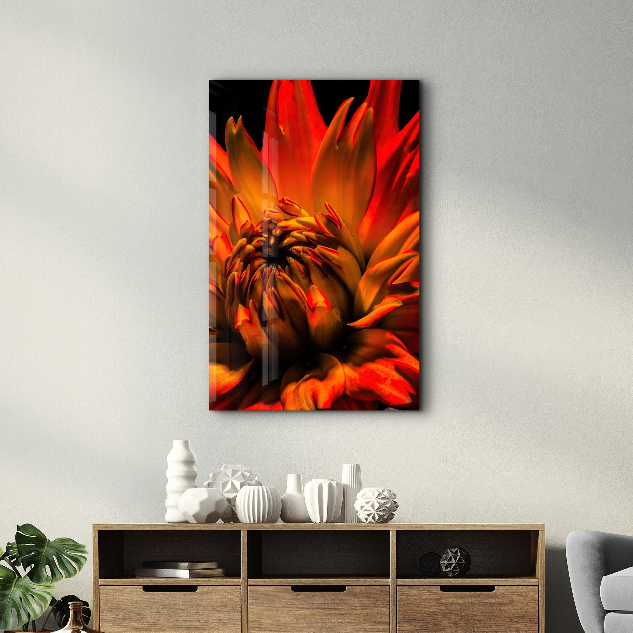 Orange Daisy | Glass Wall Art - Artdesigna