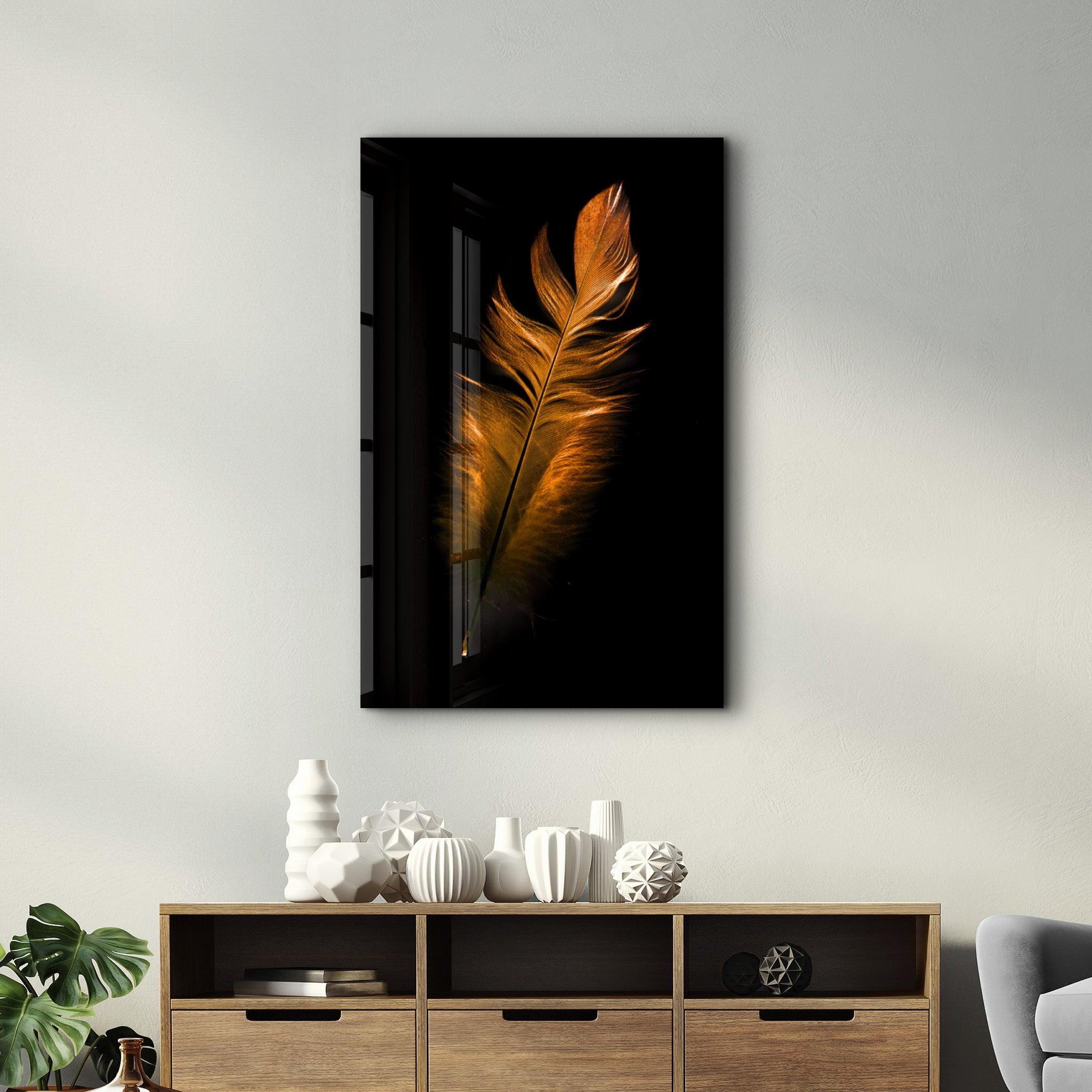 Orange Feather | Glass Wall Art - Artdesigna