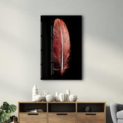 Colorful Feather V2 | Glass Wall Art - Artdesigna