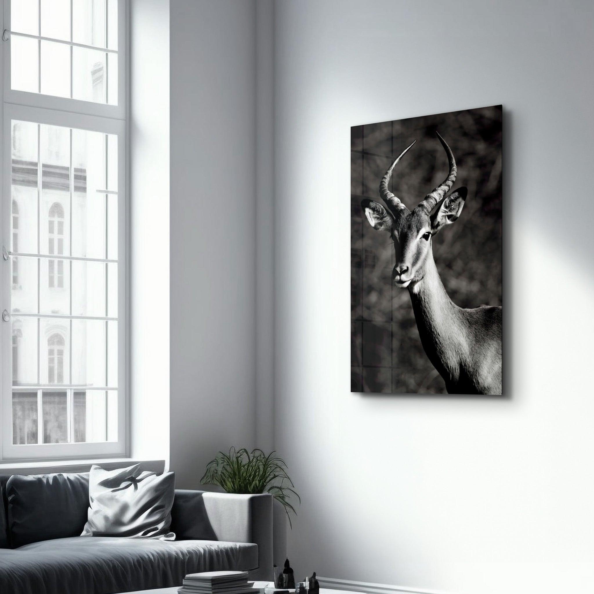 Antilope Black and White | Glass Wall Art - Artdesigna