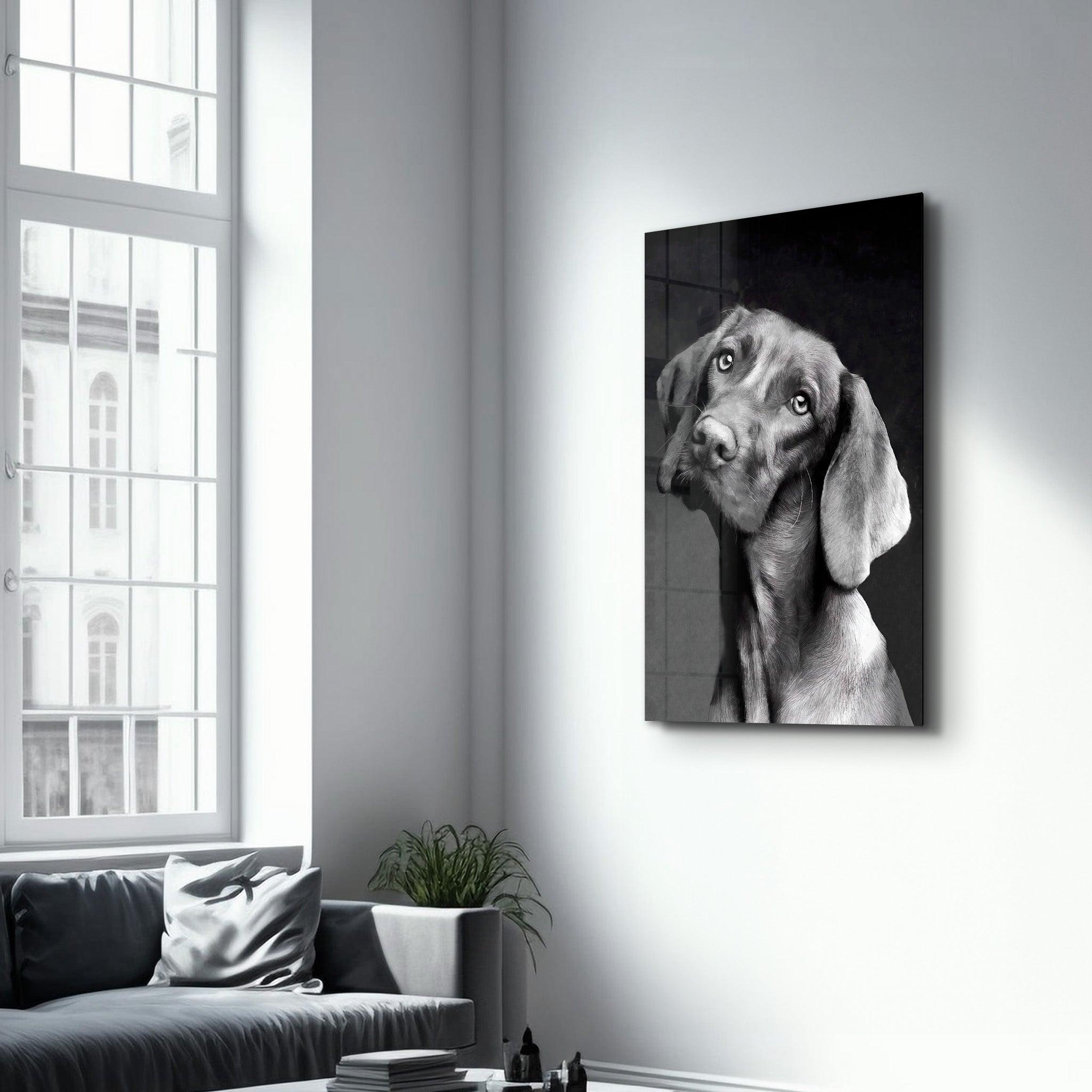 Innocent Dog | Glass Wall Art - Artdesigna