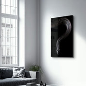 The black Mamba | Glass Wall Art - Artdesigna