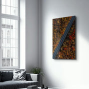 Alone in the Road | Glass Wall Art - Artdesigna