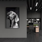 Innocent Dog | Glass Wall Art - Artdesigna