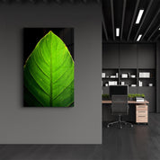 Green Leaf 1 | Glass Wall Art - Artdesigna