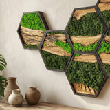 Honeycomb Moss & Olive Tree | Premium Handmade Wall Sculptures