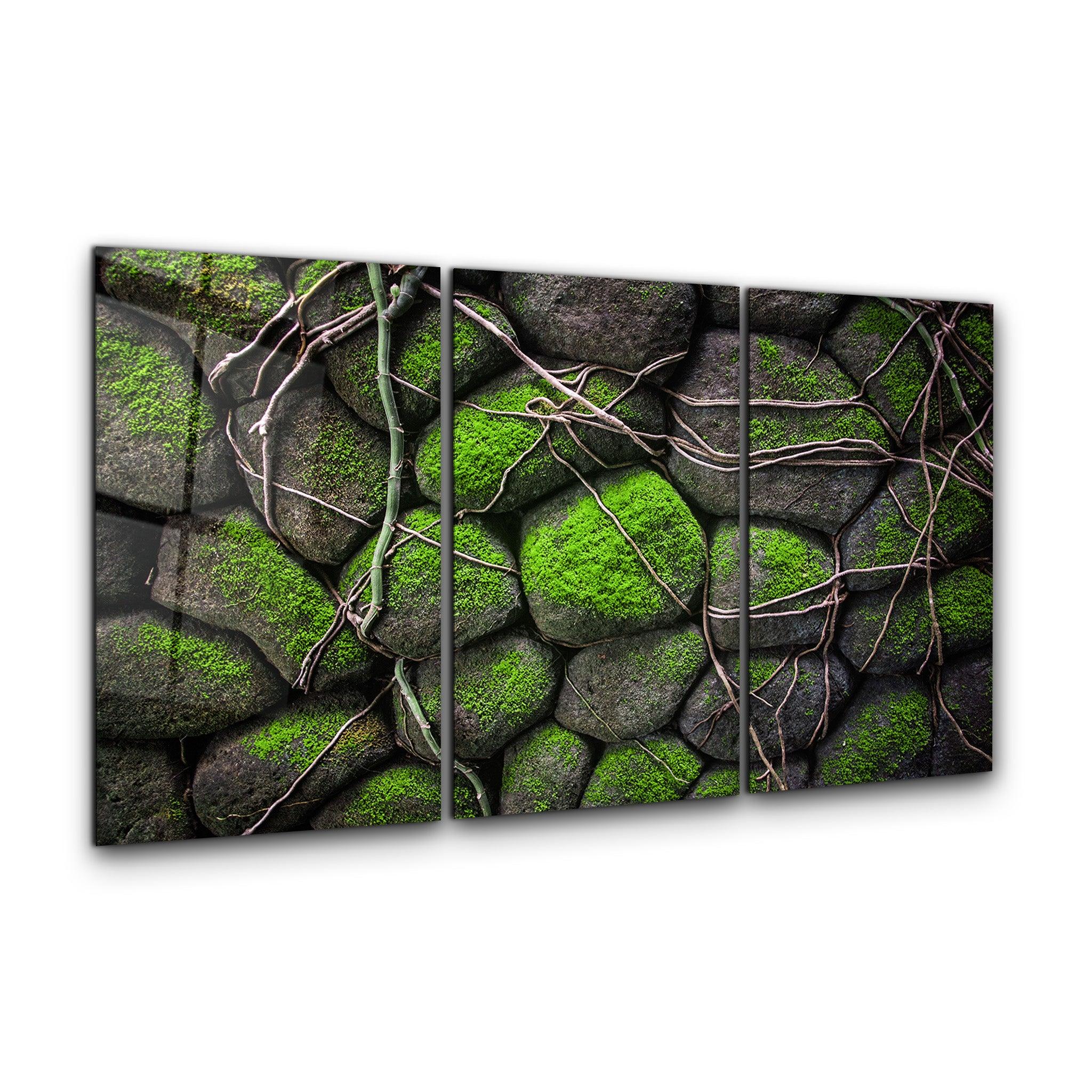 ・"Ivy on the Stone - Trio"・Glass Wall Art - ArtDesigna Glass Printing Wall Art