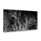 Dried Branches Black and White Trio | Glass Wall Art