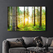 The Forest | Glass Wall Art