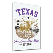 Texas - The Lone Star State | Glass Wall Art