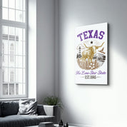 Texas - The Lone Star State | Glass Wall Art