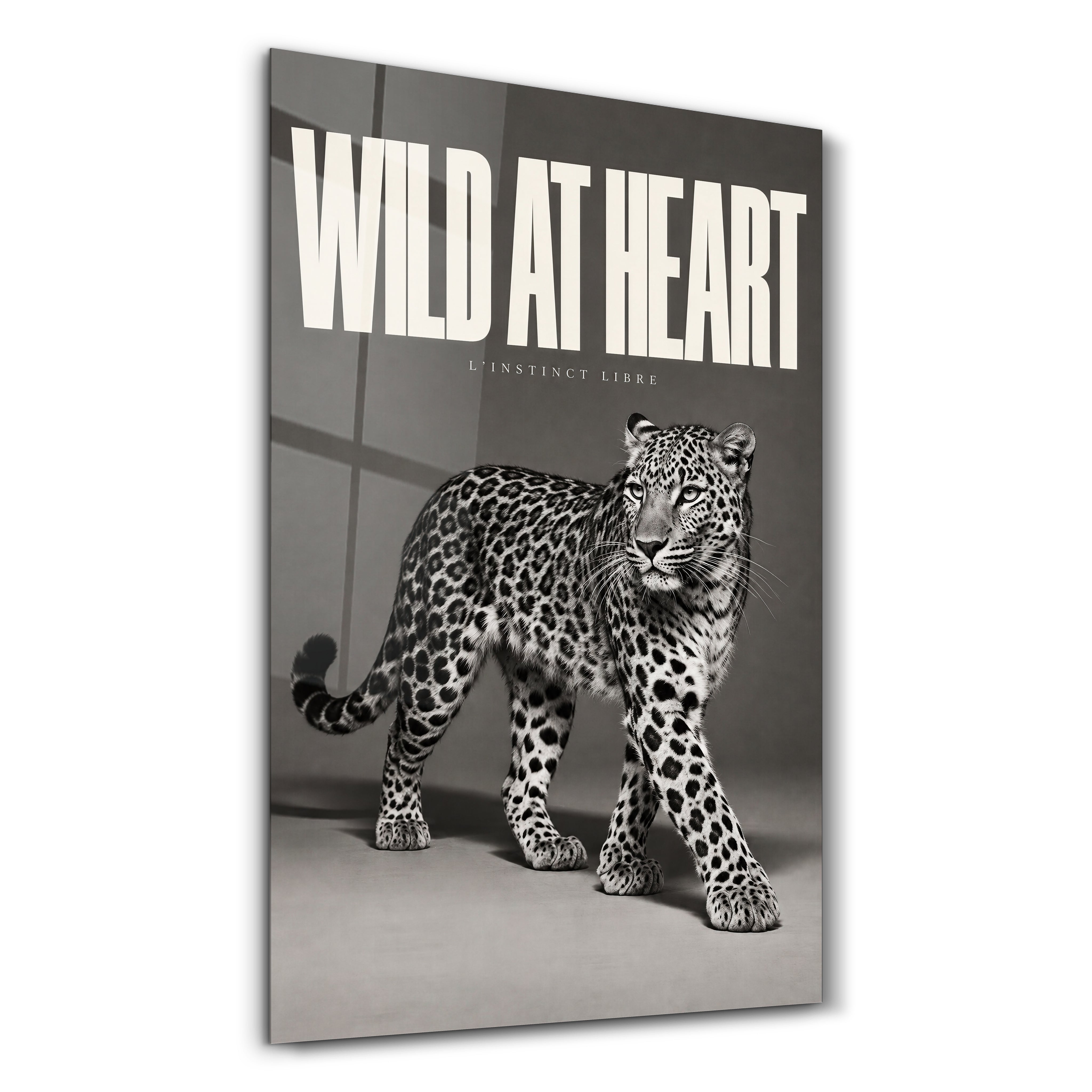 Wild at Heart glass wall art by Artdesigna, featuring a bold studio-designed artwork on glass panel