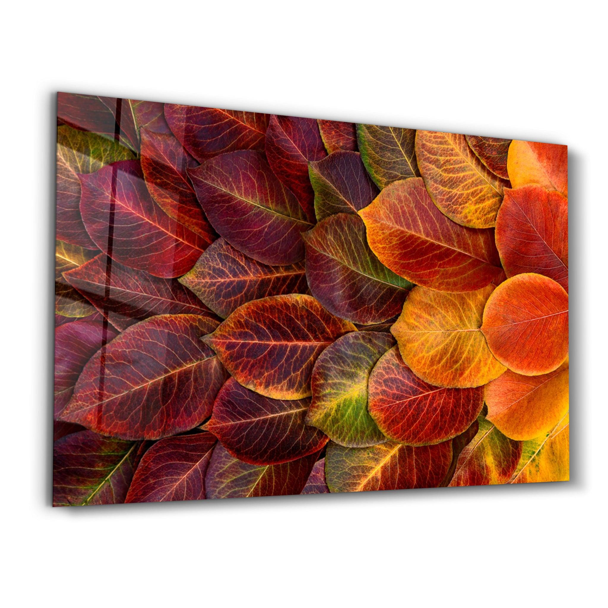 Leaves | Glass Wall Art - Artdesigna