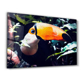 Pelican in Nature | Glass Wall Art