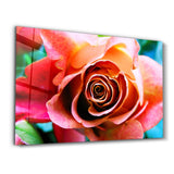 Floribunda Rose | Glass Wall Art