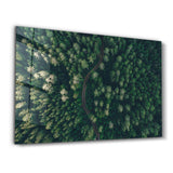 Divided Forest | Glass Wall Art