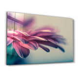 Blossom Serenity | Glass Wall Art