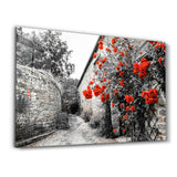 Red Rose 3 | Glass Wall Art