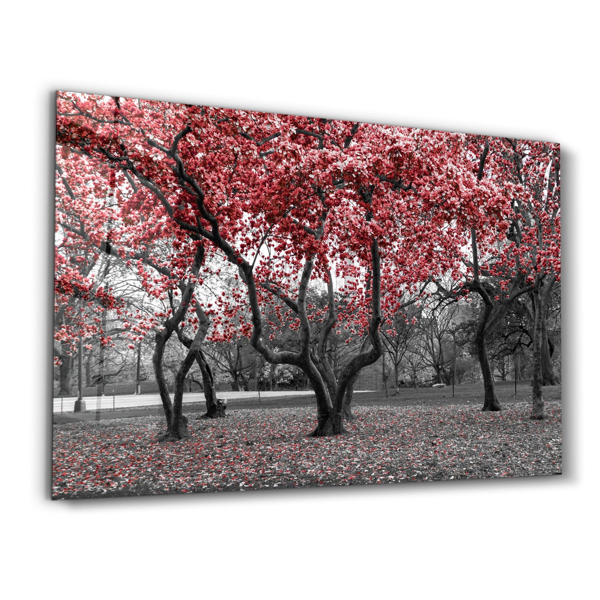 Red Tree 2 | Glass Wall Art - Artdesigna