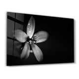 Solitary Grace | Glass Wall Art