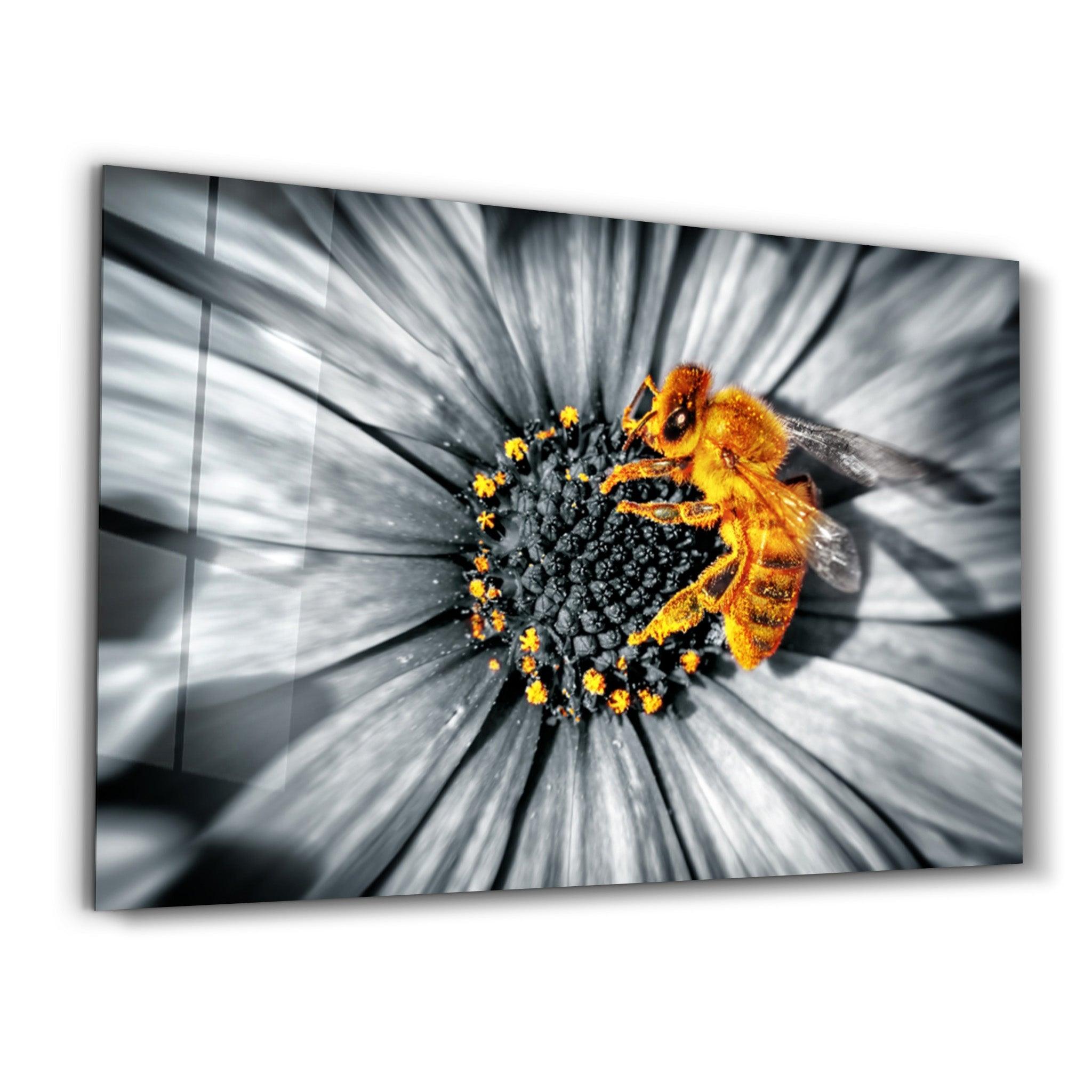 Honey Bee | Glass Wall Art - Artdesigna